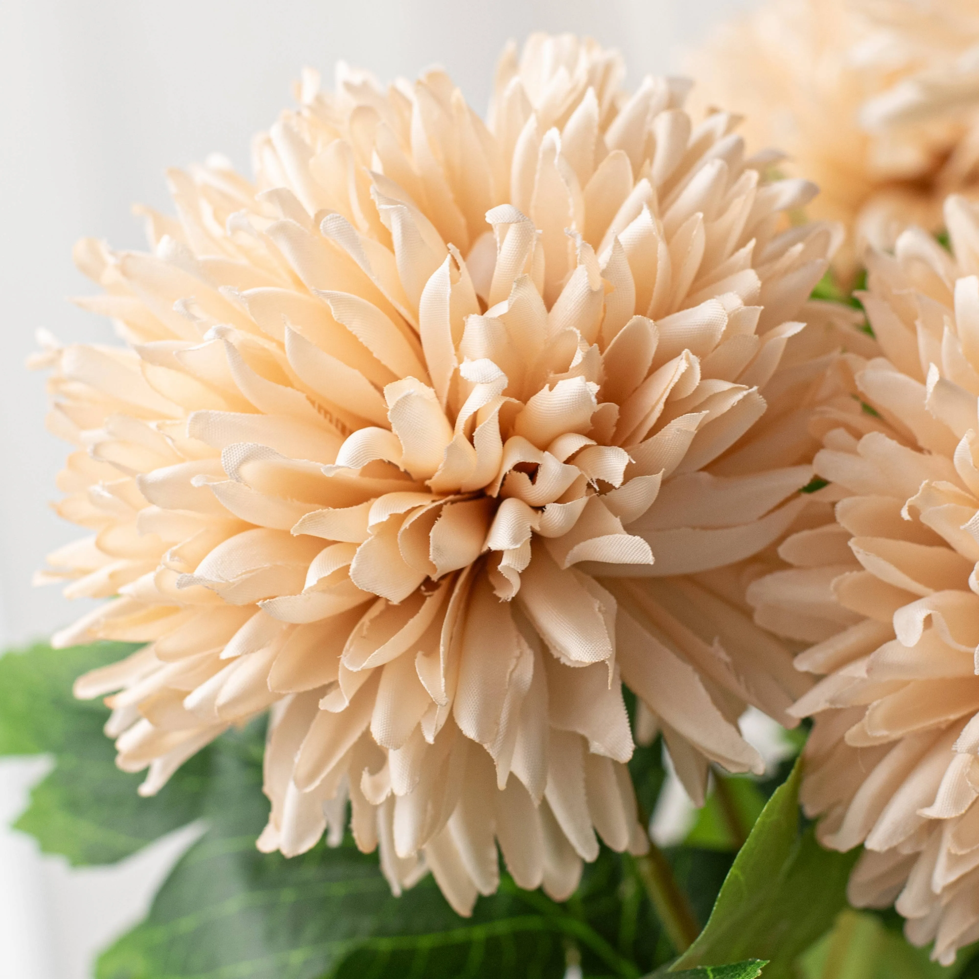 16" Mum Bush: Beige (7 Stem)