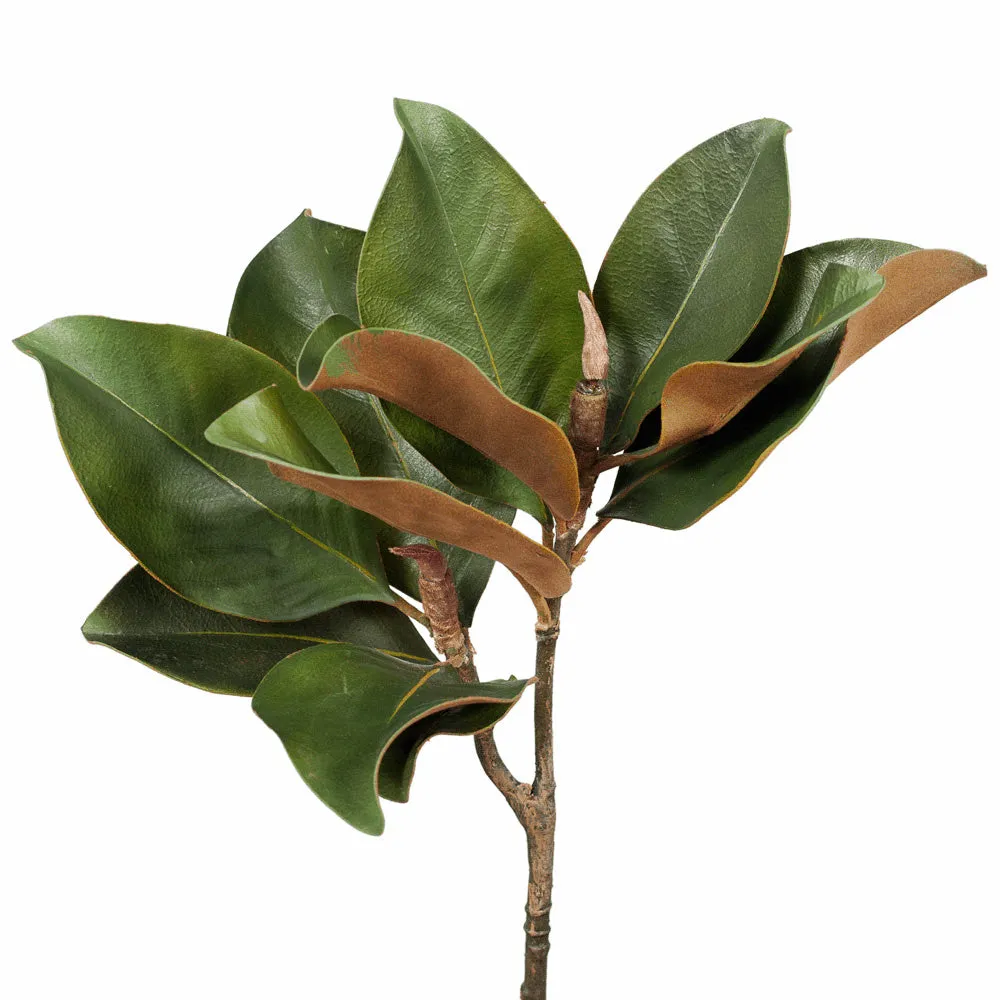 Artificial Magnolia Greenery Foliage - Green