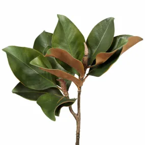 Artificial Magnolia Greenery Foliage - Green