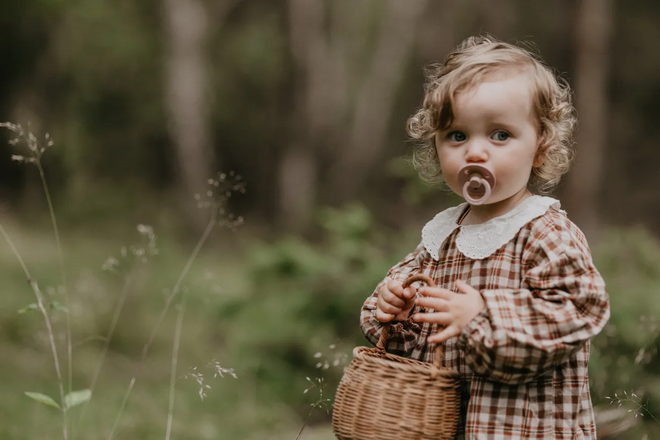 BIBS Pacifier Duo - Blush