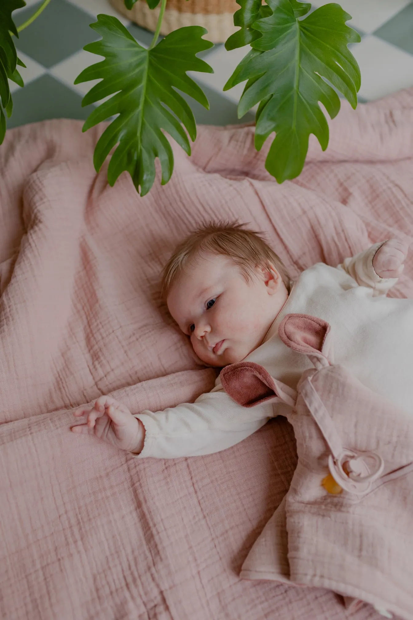 BIBS Pacifier Duo - Blush