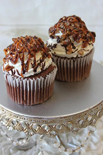 CC-000V Turtle Cupcake